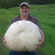 Image for article titled If this mushroom were a Smurf home it would be an apartment complex